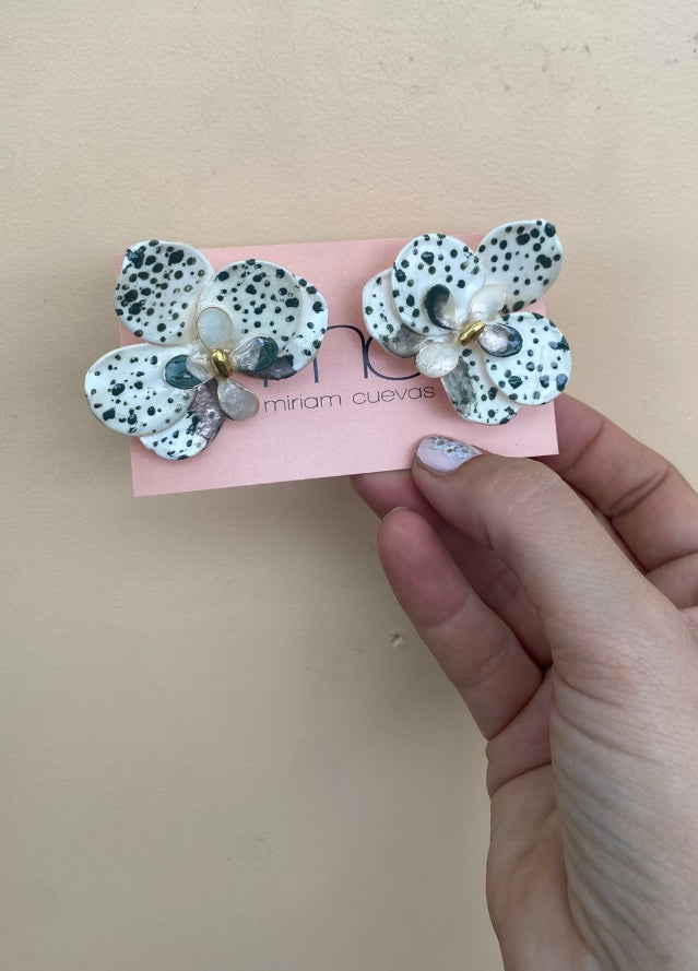 Olive Dot Orchid